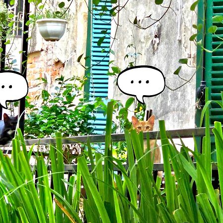 Azalea Apartment 하노이 외부 사진