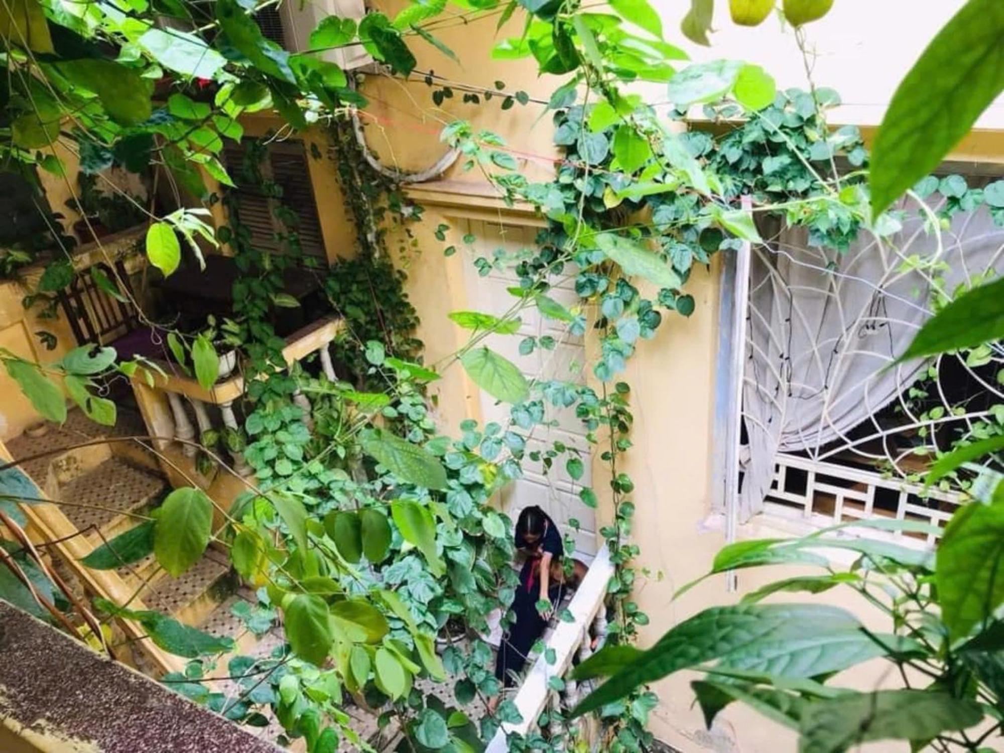 Azalea Apartment 하노이 외부 사진