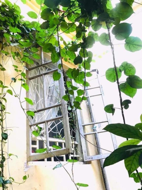 Azalea Apartment 하노이 외부 사진